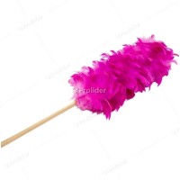 Plumero de Plumas Genérico