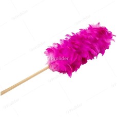 Plumero de Plumas Genérico