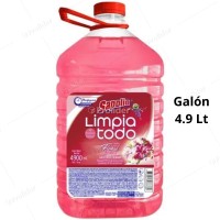 Limpiatodo Sapolio Galón 4.9 Litros Floral